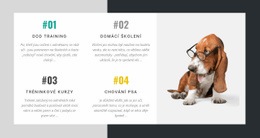 Akademie Pro Trenéry Psů Šablona