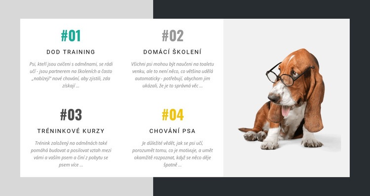 Akademie pro trenéry psů Šablona HTML