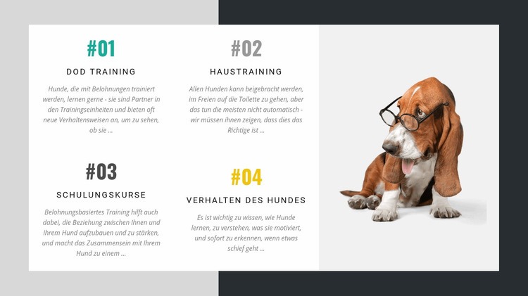 Die Akademie für Hundetrainer HTML Website Builder
