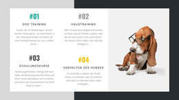 Die Akademie Für Hundetrainer – Fertiges Website-Design