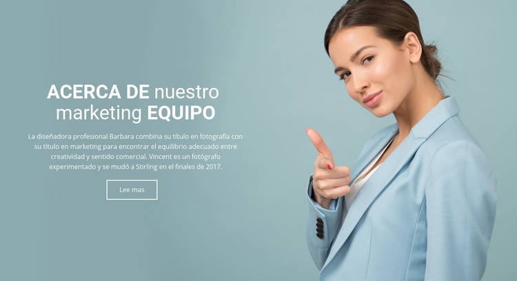 Sobre el equipo de marketing Diseño de páginas web