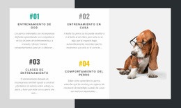 La Academia De Entrenadores De Perros - Página De Destino Profesional