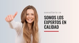 Expertos En Calidad: Plantilla De Sitio Web Joomla