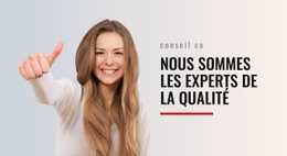 Experts En Qualité - Conception De Site Web Ultime