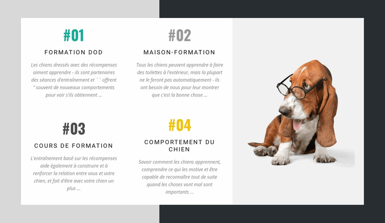 L'académie des dresseurs de chiens Modèle Joomla