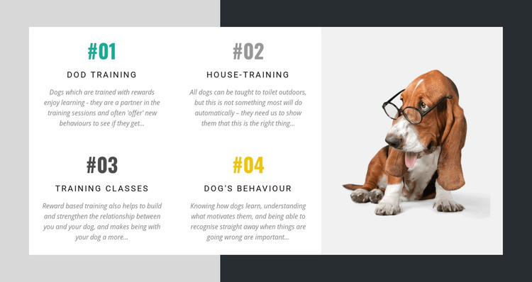 The academy for dog trainers Homepage Design