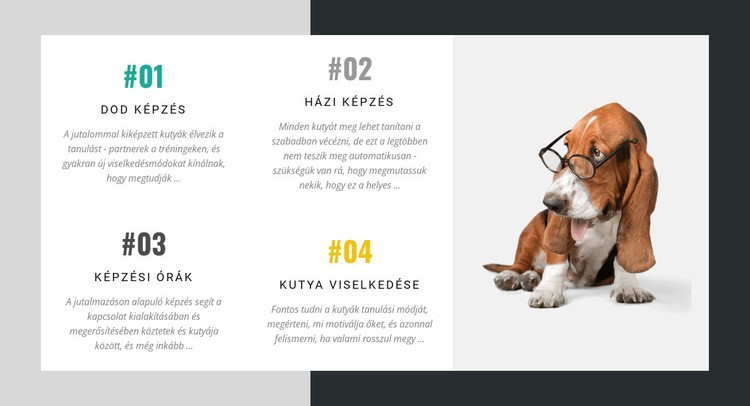 A kutyakiképzők akadémiája WordPress Téma