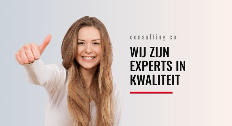 Experts in kwaliteit Website mockup