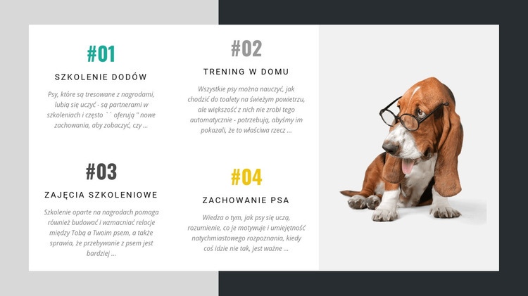 Akademia dla trenerów psów Kreator witryn internetowych HTML