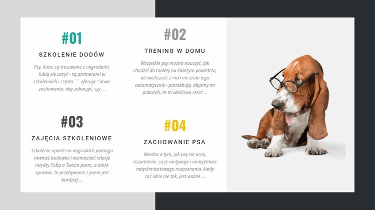 Akademia dla trenerów psów Makieta strony internetowej