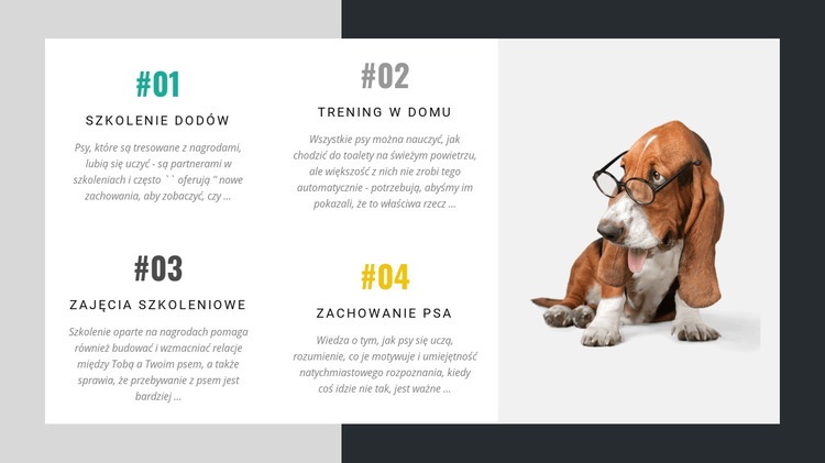 Akademia dla trenerów psów Szablon HTML5