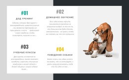 Академия Дрессировщиков Собак Система Управления