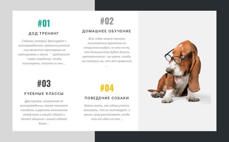 Академия дрессировщиков собак HTML шаблон