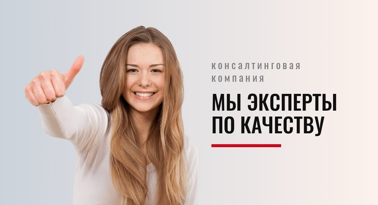 Знатоки качества HTML шаблон