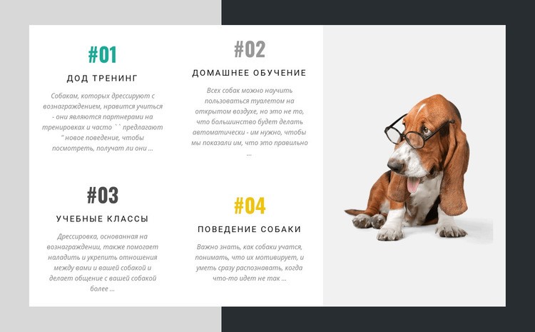 Академия дрессировщиков собак Шаблоны конструктора веб-сайтов