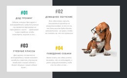 Академия Дрессировщиков Собак – Профессиональная Целевая Страница