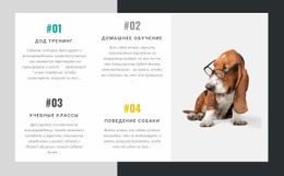 Академия Дрессировщиков Собак Специализированные Страницы
