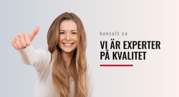 Experter På Kvalitet Gratis Webbplats