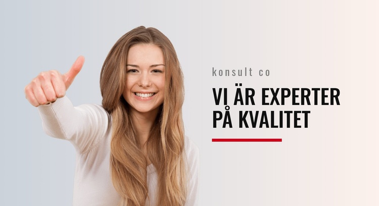 Experter på kvalitet WordPress -tema