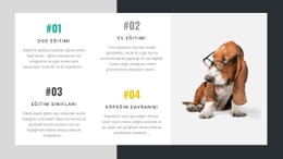 Köpek Eğitmenleri Akademisi CSS Form Şablonu
