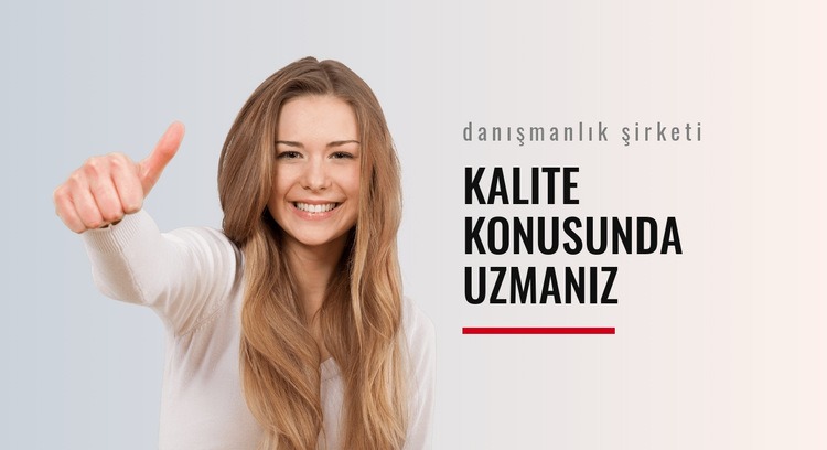 Kalitede uzmanlar CSS Şablonu