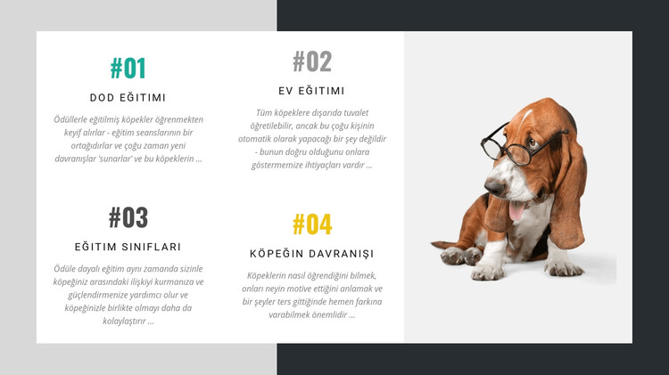 Köpek eğitmenleri akademisi HTML Şablonu