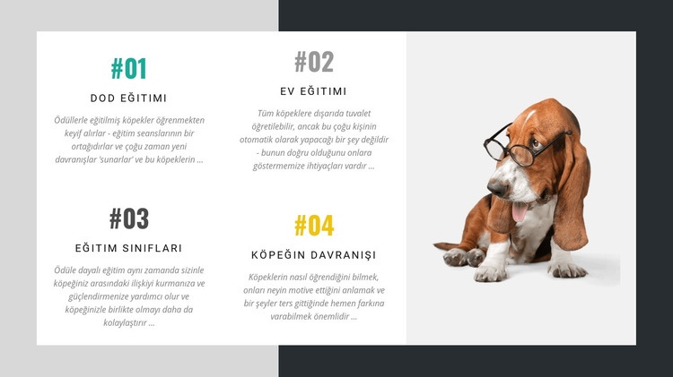 Köpek eğitmenleri akademisi Bir Sayfa Şablonu