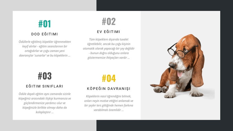 Köpek eğitmenleri akademisi Web Sitesi Oluşturucu Şablonları