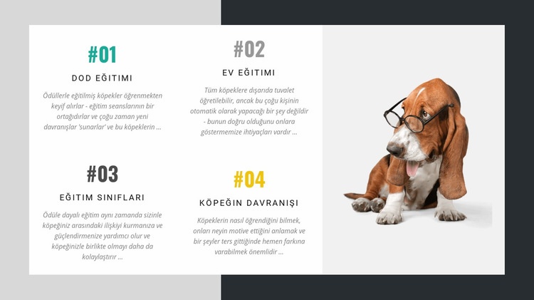 Köpek eğitmenleri akademisi Web sitesi tasarımı