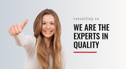 Experts In Quality - Homepage Design