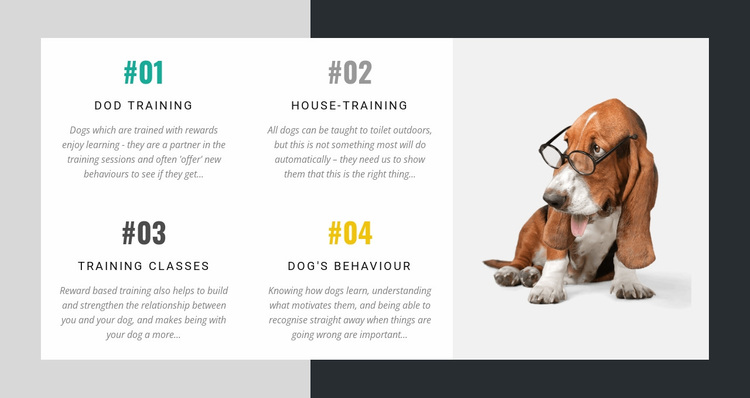 De academie voor hondentrainers Website ontwerp