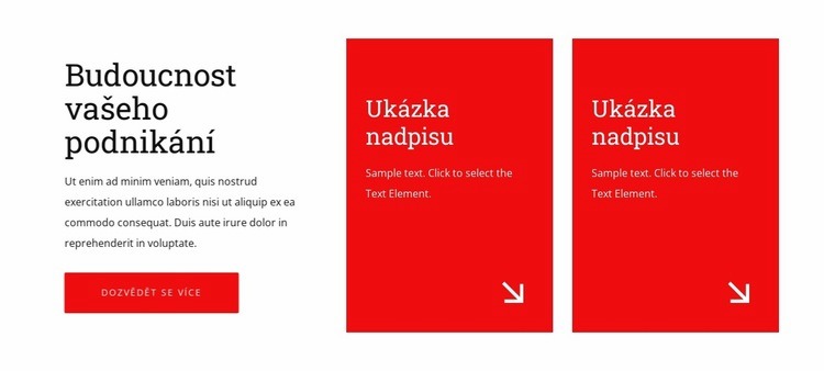 Zajištění budoucnosti vašeho podnikání Webový design