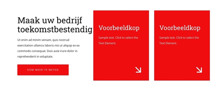 Maak uw bedrijf toekomstbestendig WordPress-thema