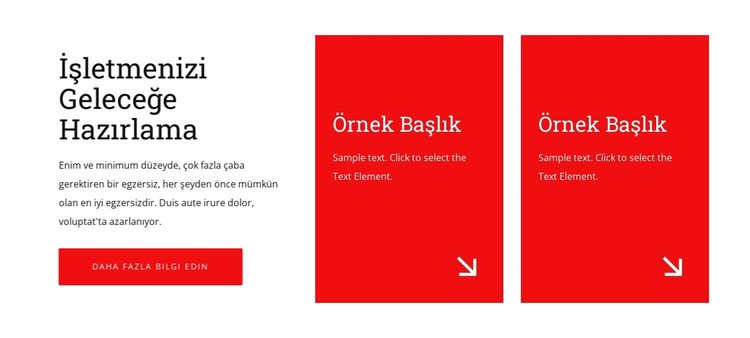 İşletmenizi geleceğe hazır hale getirin CSS Şablonu