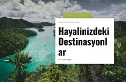 Gezginlerin Favorileri Havayolları Web Sitesi