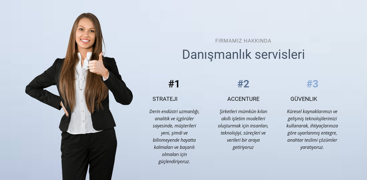 İş danışmanlığı hizmetleri Web Sitesi Şablonu