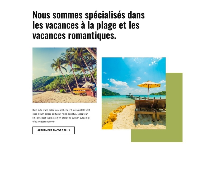 Nous sommes spécialisés dans les vacances à la plage Conception de site Web