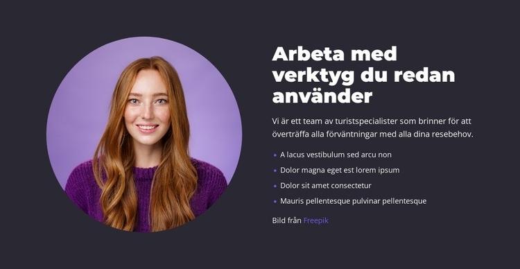 Digitala produkter och varumärken CSS -mall