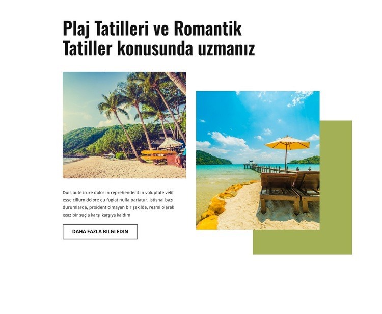 Plaj tatillerinde uzmanız Web Sitesi Mockup'ı