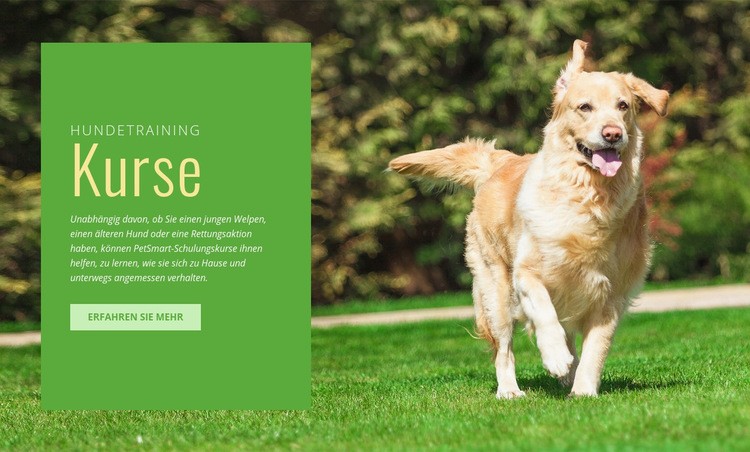 Gehorsamstraining für Hunde Website Builder-Vorlagen