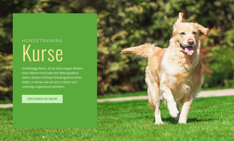 Gehorsamstraining für Hunde Website-Modell