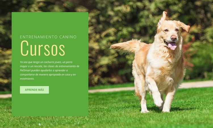 Entrenamiento de obediencia para perros Plantilla HTML5