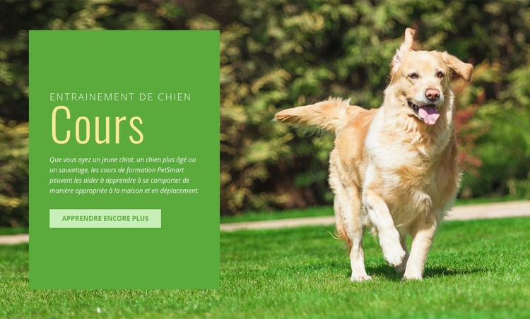 Formation d'obéissance pour chiens Maquette de site Web