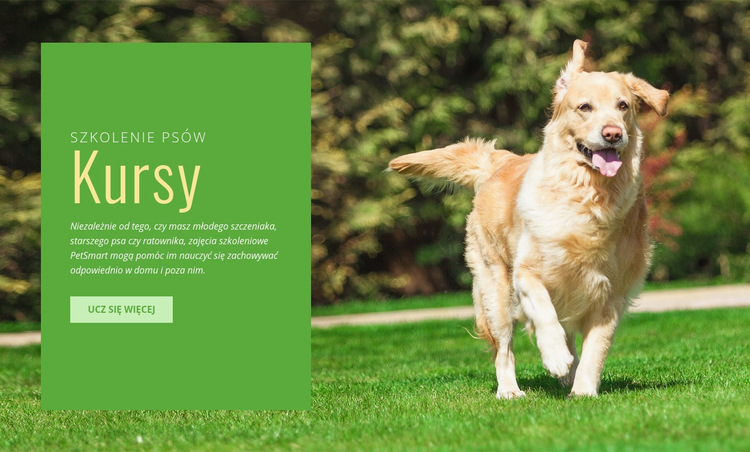 Trening posłuszeństwa dla psów Szablon witryny sieci Web