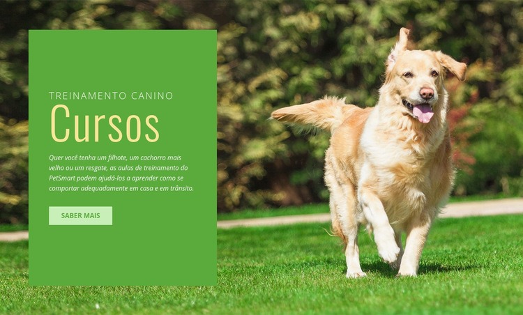 Treinamento de obediência para cães Maquete do site