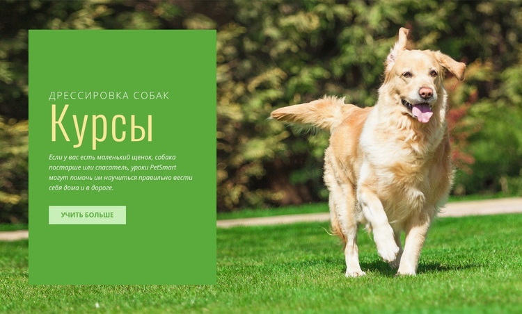 Тренировка послушания для собак Шаблон веб-сайта
