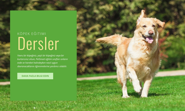 Köpekler için itaat eğitimi HTML Şablonu