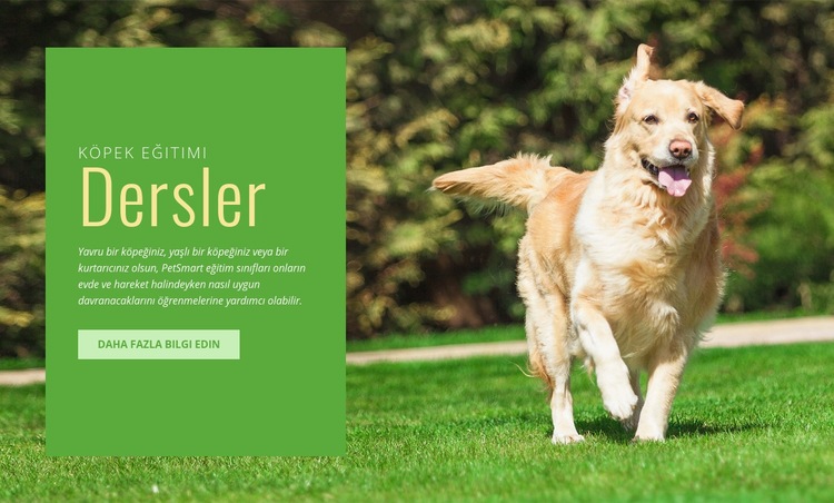 Köpekler için itaat eğitimi Web Sitesi Mockup'ı