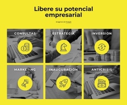 Libera Tu Potencial De Negocio