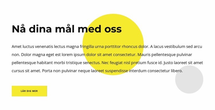 Din konsultpartner för framgång HTML-mall